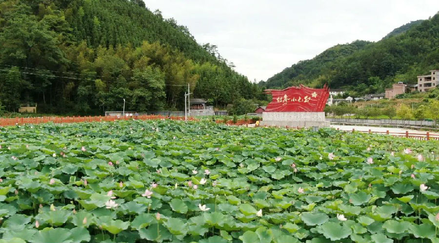 微信图片_20210824101829.jpg