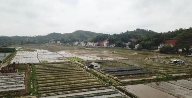 QQ截图20210825100000.jpg